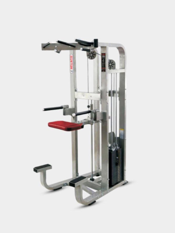 Assisted Dip Chin Machine