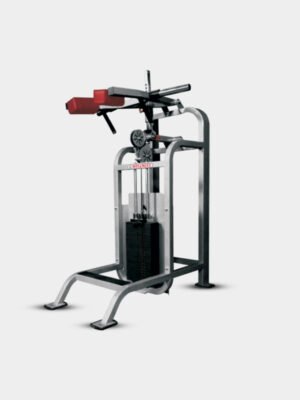 Standing Calf Machine