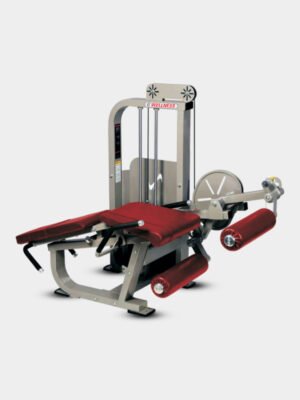 Leg Curl/Extension Combo