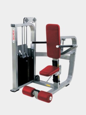 Seated Tricep Dip Machine