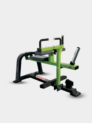 Seated Calf Machine